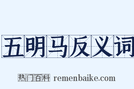 五明马反义词是什么意思的图片